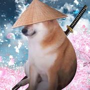 小鲤鱼