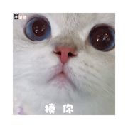 小好
