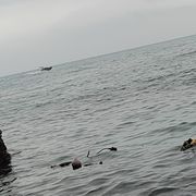 小阿阳