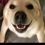 游戏小当家