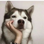 开心