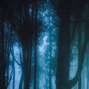 年少黑白发