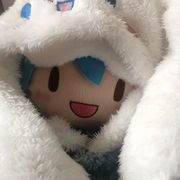 晚安飞飞