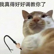 野望，