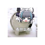 狂暴旅行者组长