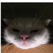 User8651100