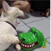 小满