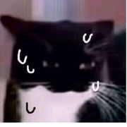 EE