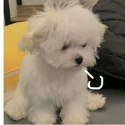 无物安睡在此深处