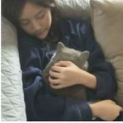 柊