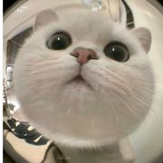 凌