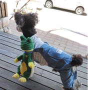 活捉一只小可爱