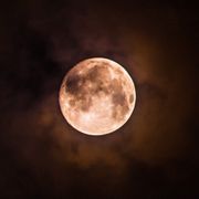 执笔&墨酿微书 .Taro 