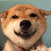 M.百特曼