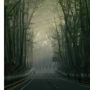 春风十里吹不动你