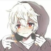 User441304882