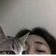 腦子困沒了
