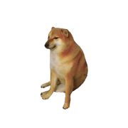 小学生大王