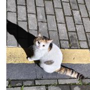 墨迹其实不磨叽