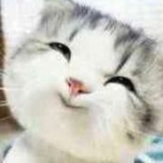 二次元头像