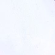无声胜有声
