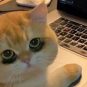 钢铁小超人