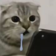 光