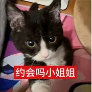炎炎小王