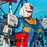 心有繁花胜似锦