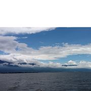 🥀心之🌿所愿🍓