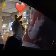 尘世美