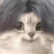 某种程度