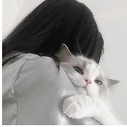 宋宋