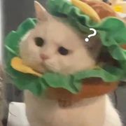 少冰少糖西瓜汁