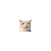 噬