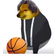 太普通