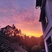 温一壶月光下酒