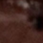 User631779838