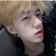 杨花落尽子规啼