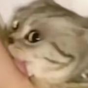 。