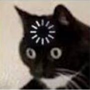 土豆子上哪买滴