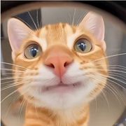 是阿文不是ฅ^._.^ฅ