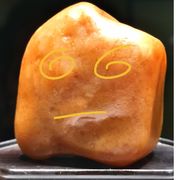 混乱的硅基生物