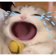 枯木逢春