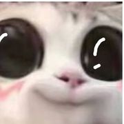 我角色叫:化学药品