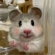 小黑