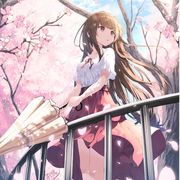 君昭