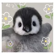 苦茶子