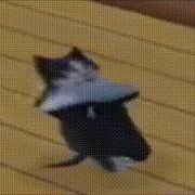 丰风