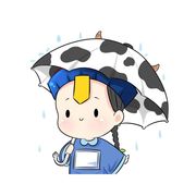 炸鸡汉堡